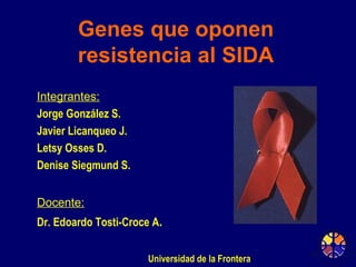 Genes que oponen resistencia al SIDA ,[object Object],[object Object],[object Object],[object Object],[object Object],[object Object],[object Object],Universidad de la Frontera  