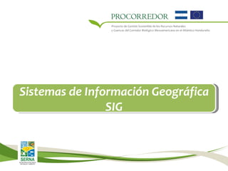 Curso de Cartografía Básica, Sistemas de Posicionamiento Global y Sistemas de Información Geográfica Sistemas de Información Geográfica SIG 