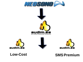 Low-Cost SMS   Premium 