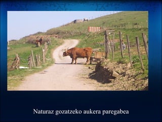 Naturaz gozatzeko aukera paregabea 