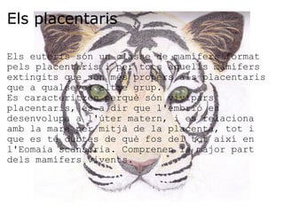 Els placentaris Els euteris són un classe de mamífers format pels placentaris i per tots aquells mamífers extingits que són més propers als placentaris que a qualsevol altre grup. Es caracteritzen perquè són vivípars placentaris, és a dir que l'embrió es desenvolupa a l'úter matern, i es relaciona amb la mare per mitjà de la placenta, tot i que es té dubtes de què fos del tot així en l'Eomaia scansoria. Comprenen la major part dels mamífers vivents. 