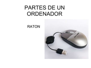 PARTES DE UN ORDENADOR RATON 
