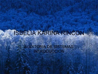 ISBELIA KARINA RINCON

   AUDITORIA DE SISTEMAS
       INTRODUCCION
 