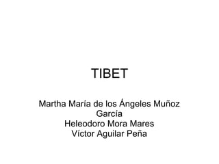 TIBET Martha María de los Ángeles Muñoz García Heleodoro Mora Mares Víctor Aguilar Peña 