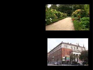 4. Cultura: Se crearon instituciones modernas, como por ejemplo: colegios de medicina e ingeniería ; jardines botánicos; academias; sociedades económicas de amigos del país. 