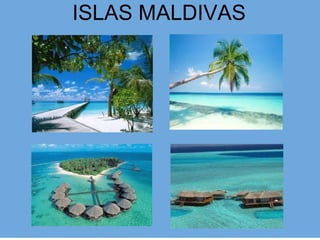 ISLAS MALDIVAS 