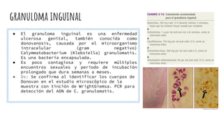 granuloma inguinal
● El granuloma inguinal es una enfermedad
ulcerosa genital, también conocida como
donovanosis, causada por el microorganismo
intracelular (gram negativo)
Calymmatobacterium (Klebsiella) granulomatis.
Es una bacteria encapsulada.
● Es poco contagiosa y requiere múltiples
encuentros sexuales y periodo de incubación
prolongado que dura semanas a meses.
● Dx: Se confirma al identificar los cuerpos de
Donovan en el estudio microscópico de la
muestra con tinción de WrightGiemsa. PCR para
detección del ADN de C. granulomatis.
 