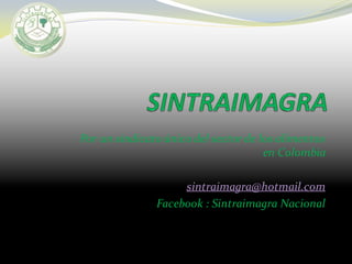 Por un sindicato único del sector de los alimentos
en Colombia
sintraimagra@hotmail.com
Facebook : Sintraimagra Nacional
 