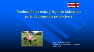 Producción de maíz y frijol en ladera por
parte de pequeños productores
Olger Benavides Rivera
Ministerio de Agricultura y Ganadería
Costa Rica
 