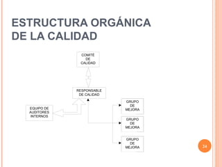 ESTRUCTURA ORGÁNICA DE LA CALIDAD 