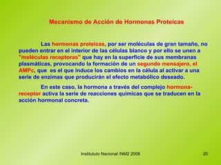 Mecanismo de Acción de Hormonas Proteicas Las  hormonas proteicas , por ser moléculas de gran tamaño, no pueden entrar en el interior de las células blanco y por ello se unen a  "moléculas receptoras"  que hay en la superficie de sus membranas plasmáticas, provocando la formación de un  segundo mensajero, el AMPc , que  es el que induce los cambios en la célula al activar a una serie de enzimas que producirán el efecto metabólico deseado.  En este caso, la hormona a través del complejo  hormona-receptor  activa la serie de reacciones químicas que se traducen en la acción hormonal concreta. 