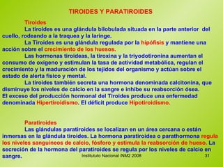 TIROIDES Y PARATIROIDES  Tiroides La tiroides es una glándula bilobulada situada en la parte anterior  del cuello, rodeando a la traquea y la laringe.  La Tiroides es una glándula regulada por la  hipófisis  y mantiene una acción sobre el  crecimiento de los huesos.   Las hormonas tiroideas, la tiroxina y la triyodotironina aumentan el consumo de oxígeno y estimulan la tasa de actividad metabólica, regulan el crecimiento y la maduración de los tejidos del organismo y actúan sobre el estado de alerta físico y mental. La tiroides también secreta una hormona denominada calcitonina, que disminuye los niveles de calcio en la sangre e inhibe su reabsorción ósea. El exceso del producción hormonal del Tiroides produce una enfermedad denominada  Hipertiroidismo . El déficit produce  Hipotiroidismo.   Paratiroides Las glándulas paratiroides se localizan en un área cercana o están inmersas en la glándula tiroides. La hormona paratiroidea o parathormona  regula los niveles sanguíneos de calcio, fósforo y estimula la reabsorción de hueso.  La secreción de la hormona del paratiroides se regula por los niveles de calcio en sangre.  