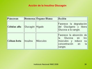 Acción de la Insulina Glucagón 