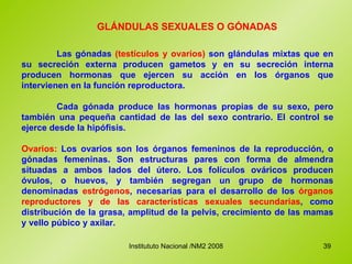 GLÁNDULAS SEXUALES O GÓNADAS  Las gónadas  (testículos y ovarios)  son glándulas mixtas que en su secreción externa producen gametos y en su secreción interna producen hormonas que ejercen su acción en los órganos que intervienen en la función reproductora.  Cada gónada produce las hormonas propias de su sexo, pero también una pequeña cantidad de las del sexo contrario. El control se ejerce desde la hipófisis.  Ovarios:  Los ovarios son los órganos femeninos de la reproducción, o gónadas femeninas. Son estructuras pares con forma de almendra situadas a ambos lados del útero. Los folículos ováricos producen óvulos, o huevos, y también segregan un grupo de hormonas denominadas  estrógenos , necesarias para el desarrollo de los  órganos reproductores y de las características sexuales secundarias , como distribución de la grasa, amplitud de la pelvis, crecimiento de las mamas y vello púbico y axilar.  