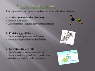 Las englobamos en 3 grupos en función de su estructura química:
a) Aminas (aminoácidos, tirosina)
· Hormonas tiroideas
· Catecolaminas (adrenalina y noradrenalina)
b) Proteica y peptídica
· Hormonas del páncreas endocrino
· Hormonas hipotalámica-hipofisiaria.
c) Esteroides (colesterol)
· Hormonas de la corteza suprarrenal
· Hormonas de las glándulas reproductoras
· Metabolitos activos de la vitamina D
 