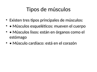 Tipos de músculos
• Existen tres tipos principales de músculos:
• • Músculos esqueléticos: mueven el cuerpo
• • Músculos lisos: están en órganos como el
estómago
• • Músculo cardíaco: está en el corazón
 