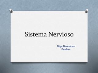Sistema Nervioso
Olga Bermúdez
Caldera
 