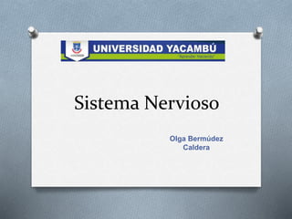 Sistema Nervioso
Olga Bermúdez
Caldera
 