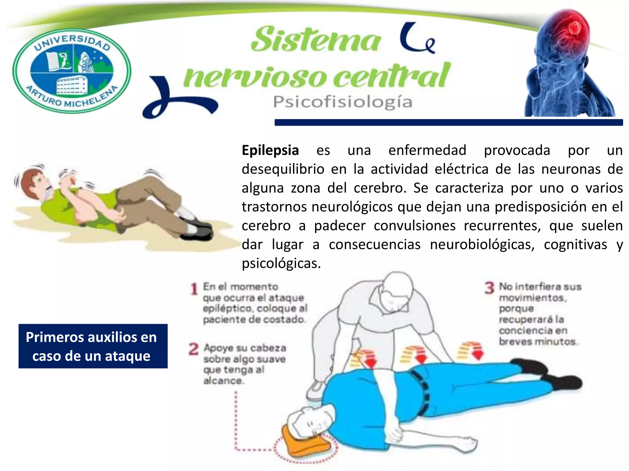 Epilepsia es una enfermedad provocada por un
desequilibrio en la actividad eléctrica de las neuronas de
alguna zona del cerebro. Se caracteriza por uno o varios
trastornos neurológicos que dejan una predisposición en el
cerebro a padecer convulsiones recurrentes, que suelen
dar lugar a consecuencias neurobiológicas, cognitivas y
psicológicas.
Primeros auxilios en
caso de un ataque
 