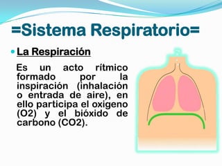 =Sistema Respiratorio=
 La Respiración
 Es un acto rítmico
 formado        por      la
 inspiración (inhalación
 o entrada de aire), en
 ello participa el oxigeno
 (O2) y el bióxido de
 carbono (CO2).
 