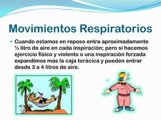 Movimientos Respiratorios
 Cuando estamos en reposo entra aproximadamente
 ½ litro de aire en cada inspiración; pero si hacemos
 ejercicio físico y violento o una inspiración forzada
 expandimos mas la caja torácica y pueden entrar
 desde 3 a 4 litros de aire.
 