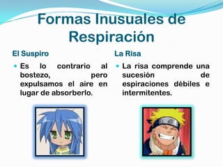 Formas Inusuales de
           Respiración
El Suspiro                  La Risa
 Es    lo contrario al      La risa comprende una
  bostezo,           pero     sucesión            de
  expulsamos el aire en       espiraciones débiles e
  lugar de absorberlo.        intermitentes.
 