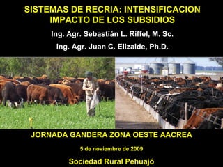 SISTEMAS DE RECRIA: INTENSIFICACION
     IMPACTO DE LOS SUBSIDIOS
     Ing. Agr. Sebastián L. Riffel, M. Sc.
      Ing. Agr. Juan C. Elizalde, Ph.D.




 JORNADA GANDERA ZONA OESTE AACREA
             5 de noviembre de 2009

          Sociedad Rural Pehuajó
 