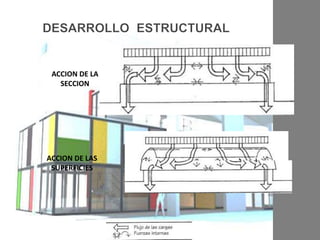 ACCION DE LAS
SUPERFICIES
ACCION DE LA
SECCION
 