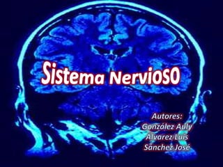 Sistema Nervioso Autores: González Auly Álvarez Luis Sánchez José 