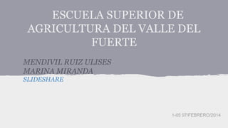 ESCUELA SUPERIOR DE
AGRICULTURA DEL VALLE DEL
FUERTE
MENDIVIL RUIZ ULISES
MARINA MIRANDA
SLIDESHARE

1-05 07/FEBRERO/2014

 