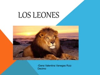 LOS LEONES
-Dana Valentina Vanegas Ruiz
Decimo
 