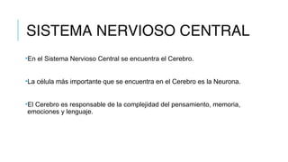 SISTEMA NERVIOSO CENTRAL
•En el Sistema Nervioso Central se encuentra el Cerebro.
•La célula más importante que se encuentra en el Cerebro es la Neurona.
•El Cerebro es responsable de la complejidad del pensamiento, memoria,
emociones y lenguaje.