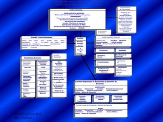 SISTEMA NACIONAL PARA LA PREVENCION
                                                 Y ATENCION DE DESASTRES DE COLOMBIA
                                                                                                                                                     Fondo Nacional
                                                                        COMITE NACIONAL                                                              de Calamidades

                                                                  PRESIDENTE DE LA REPUBLICA                                                           Presidencia de la
                                                                                                                                                            República
                                                  Ministros del Interior, Hacienda, Defensa, Transporte y                                            Ministerio del Interior
                                                                            Comunicaciones         .                                               Ministerio de Hacienda
                                                     Director Departamento Nacional de Planeación (DNP)                                            Ministerio de Transporte
                                                           Director General Defensa Civil Colombiana                                                  Ministerio de Salud
                                                                   Director Cruz Roja Colombiana                                                   Ministerio de Agricultura
                                                                Sociedad Colombiana de Ingenieros                                                 Defensa Civil Colombiana
                                                               Confederación Colombiana de ONG´s                                                    Cruz Roja Colombiana
                                                                                                                                                       Superintendencia
                                                 Director Dirección Nacional de Prevención y Atención de                                                     Bancaria
                                                                          Desastres     (DNPAD)                                                    Fiduciaria La previsora
                                                                                                                                                      Fondo Nacional de
                                                                                                                   Junta Nacional                           Bomberos
                                                                                                                   de Bomberos


                     Comité Técnico Nacional                                                                            Comité Operativo Nacional
                                                                                    D.N.PAD
    DNPAD - DNP- IDEAM – IGAC-        INURBE     SENA-     PNUD -                                               DEFENSA CIVIL,     Cruz Roja    Min Salud
                                                                                    Dirección                   Fuerzas Armadas,    Policía Nacional,
    INGEOMINAS-        DC -   CR -PONAL- CCS- U.NAL- JUNTA
                                                                                     Nacional                   DNPAD , Delegados Junta Nacional de
    NACIONAL DE BOMBEROS                   MINISTERIOS DE:
                                                                                      para la                   Bomberos
    TRANSPORTE, AGRICULTURA, MEDIO AMBIENTE,
                                                                                   Prevención
    DEFENSA    , TELECOM
                                                                                          y
                                                                                    Atención                         Comisiones                    Servicios
                                                                                         de
                                                                                    Desastres
                                                Servicios                                del                      Búsqueda y                   Red Nacional de
                                                Nacionales                          Ministerio                    Rescate                      Centros de
       Comisiones Asesoras                                                         del interior                                                Reserva

                            Asentamientos                                                                                                         Red Nacional
     Micro cuencas                                    Red                                                         Comunicacione
                              Humanos y                                                                                                           de
     Saneamiento                                  Sismológica
     Ambiental                 Vivienda             Nacional
                                                                                                                  s                               Comunicacione
                                                                                                                                                  s
       Educación                 Salud             Observatorio                                                                                     CISPROQUIM
                                                sismológico sur                                                    Red Nacional de             Centro de
                                               occidente Univalle                                                  Distribución de             Información sobre
     Embalses y               Programas                                                                               Alimentos                Productos
     Represas                  Masivos           Observatorios                                                                                 Químicos
                                                Vulcanológicos
     Planeacion                 Riesgos
     del desarrollo          Industriales y      Red de alertas
     y del Medio             Tecnologicos      hidrometereológic
     Ambiente                                           a
                              Tsunamis              Satélites                    Comités Regionales de Prevención y Atención de
                                  O
     Riesgo
                              Maremotos
                                                                                                        Desastres
     Sísmico y                                 Red de detección
     Volcánico                                  de Tsunamis o
                              Mapas de                                                                        GOBERNADOR
                                                  Maremotos
     Incendios                Amenazas                                           S.S. Salud,   Defensa Civil   , Cruz Roja,     Delegado Departamental
     Forestales                                   Vigilancia de                  de Bomberos      Alcalde Ciudad Capital        , Fuerzas Militares,
                              Embalses y       Huracanes Satélite                Policía, Oficina de Planeación
     Fenómeno                  Represas
     Del
     Niño                                                                              Secretaria               Coordinador                  Coordinador
                                                                                        Técnica                Administrativo                 Operativo
                                                                                        OFICINA                   CREPAD                   DEFENSA CIVIL
                                                                                     PLANEACION

                                                                                   Comités Locales de Prevención y Atención de Desastres

                                                                                                                   Alcalde
                                                                                 S.S. Salud,   Defensa Civil   , Cruz Roja    , Delegado Departamental
                                                                                 de Bomberos      Alcalde Ciudad Capital        , Fuerzas Militares,
                                                                                 Policía, Oficina de Planeación
GRUPO ACUATICO                                                                                                                                                                 8
DEL CARIBE
 