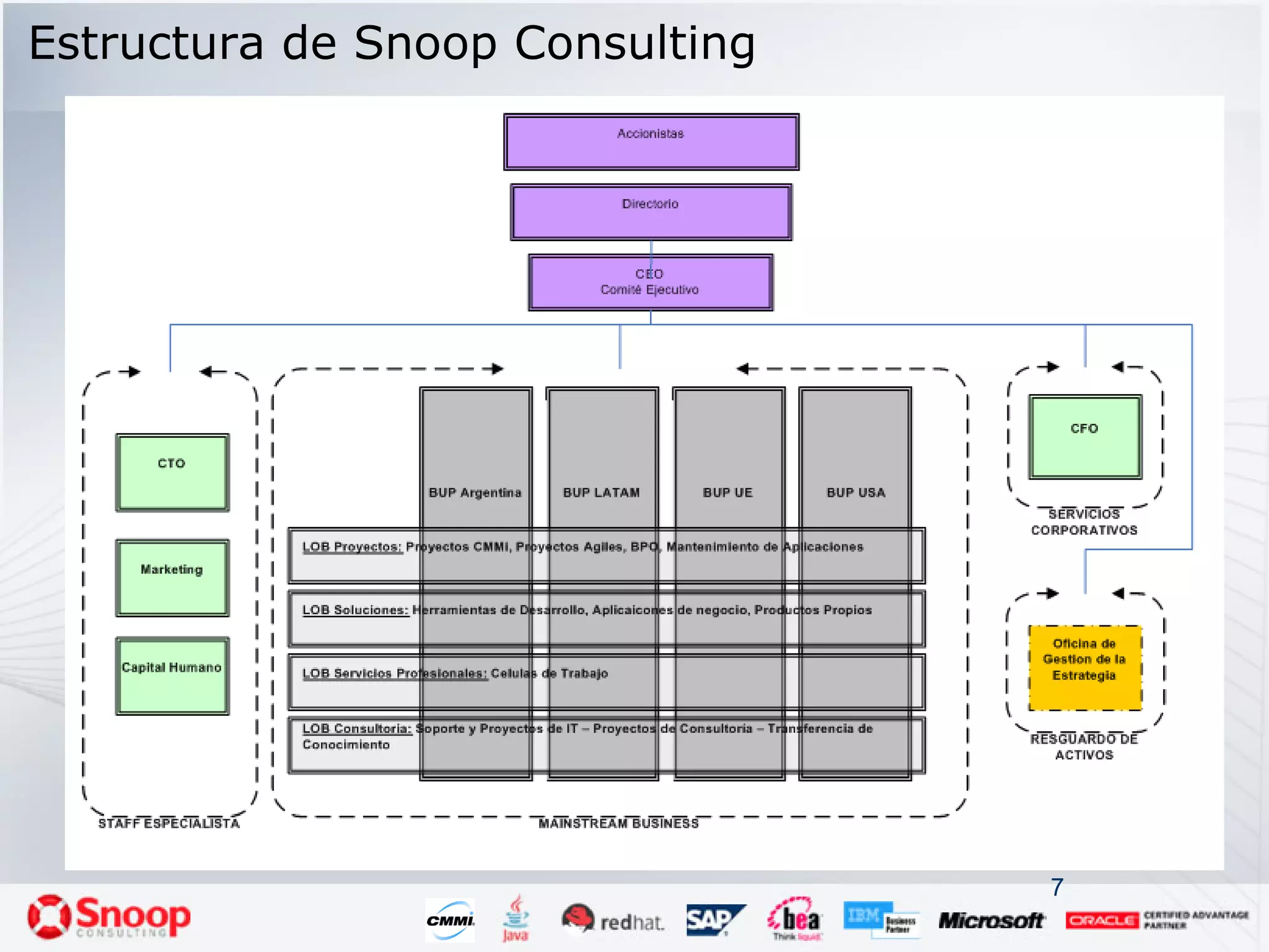 Estructura de Snoop Consulting 