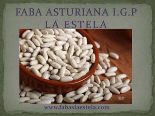 www.fabaslaestela.com
 