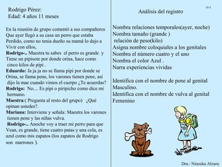 17-1
 Rodrigo Pérez:                                                 Análisis del registro
 Edad: 4 años 11 meses

En la reunión de grupo comentó a sus compañeros      Nombra relaciones temporales(ayer, noche)
Que ayer llegó a su casa un perro que estaba         Nombra tamaño (grande )
Perdido, como no tenia dueño su mamá lo dejo a       relación de peso(kilo)
Vivir con ellos,                                     Asigna nombre coloquiales a los genitales
Rodrigo-.. Maestra tu sabes el perro es grande y     Nombra el número cuatro y el uno
Tiene un pipisote por donde orina, hace como         Nombra el color Azul .
 cinco kilos de pipi .
                                                     Narra experiencias vividas
Eduardo: Ja ja ja no se llama pipi por donde se
Orina, se llama pene, los varones tienen pene, así
 dijo la mae cuando vimos el cuerpo ¿Te acuerdas?    Identifica con el nombre de pene al genital
Rodrigo: No.... Es pipi o piripicho como dice mi     Masculino.
 hermano.                                            Identifica con el nombre de vulva al genital
Maestra:( Pregunta al resto del grupo) ¿Qué          Femenino
opinan ustedes?.
Mariana: Interviene y señala: Maestra los varones
 tienen pene y las niñas vulva.
 Rodrigo-.. Anoche voy a traer mi perro para que
Vean, es grande, tiene cuatro patas y una cola, es
azul como mis zapatos (los zapatos de Rodrigo
son marrones ).



                                                                                    Dra.: Ninoska Alzuru
 