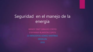 Seguridad en el manejo de la
energía
WENDY YINET GIRALDO CORTES
STEFFANNY BLANDÓN COPETE
I.E MERCEDITAS GÓMEZ MARTÍNEZ
MEDELLÍN
2018
 