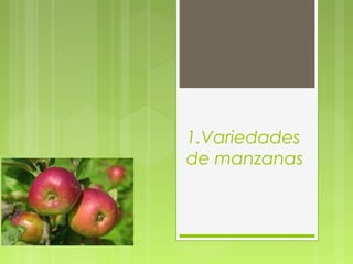 1.Variedades 
de manzanas 
 