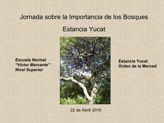 Jornada sobre la Importancia de los Bosques Estancia Yucat Escuela Normal “Víctor Mercante” Nivel Superior Estancia Yucat Orden de la Merced 22 de Abril/ 2010 