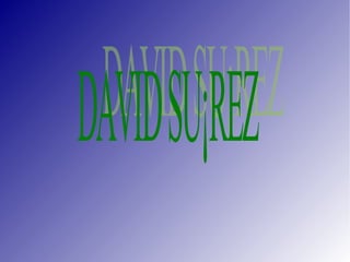 DAVID SUÁREZ 