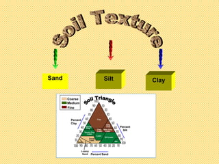 Sand Soil Texture Silt Clay 