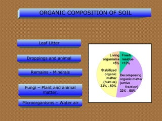 Leaf Litter Droppings and animal Remains - Minerals Fungi – Plant and animal matter. Microorganisms – Water air ORGANIC COMPOSITION OF SOIL 