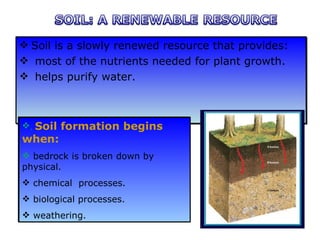 Soil is a slowly renewed resource that provides: most of the nutrients needed for plant growth. helps purify water. .  Soil formation begins when: bedrock is broken down by physical. chemical  processes. biological processes. weathering. 