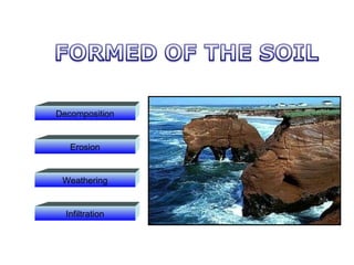 Decomposition Erosion Weathering Infiltration 