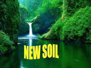 NEW SOIL 