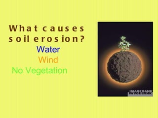 What causes soil erosion? Water Wind No Vegetation   