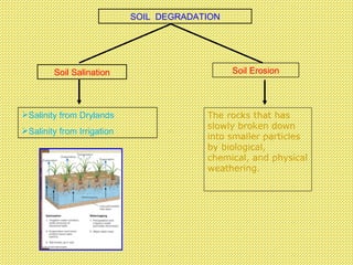 SOIL  DEGRADATION Soil Salination Soil Erosion Salinity from Drylands Salinity from Irrigation The rocks that has slowly broken down into smaller particles by biological, chemical, and physical weathering. 