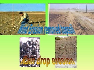 Wind Erosion removed topsoil Rain drop erosion 