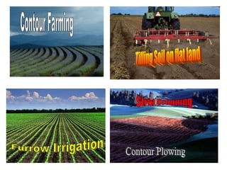 Strip Cropping Contour Plowing Contour Farming Tilling Soil on flat land Furrow Irrigation 