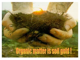 Organic matter is soil gold ! 